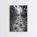 Forest Trail Path, Woodland Escape, Nature Walk, Adventure Art, Framed Canvas Print, Office Wall Decor, Autumn Vibes, Rustic Nature Style
