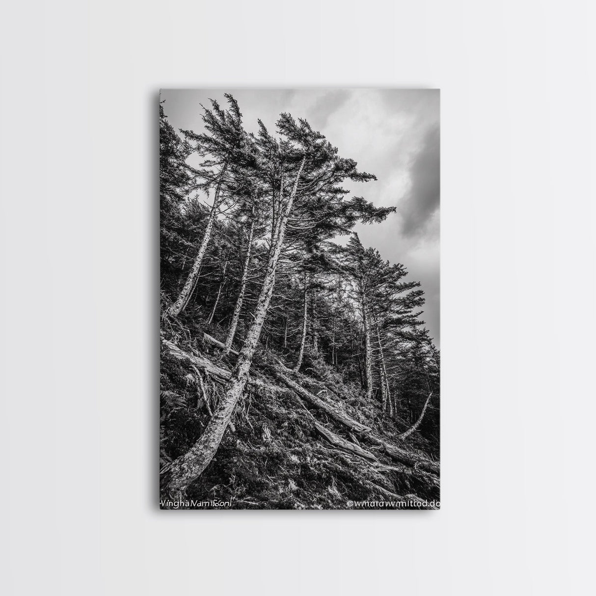 Windy Pines, Forest Landscape, Nature Photography, Framed Canvas Print, Rustic Wall Art, Cabin Decor, Minimalist Art, Fall Home Style