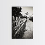 Palm Fence, California Pathway, Suburban Tranquility, Canvas Print, Outdoor Wall Art, Neutral Tones, Modern Minimalist Home Vibe