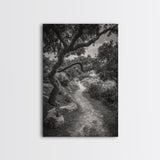 Forest Path, Twisting Trees, Nature Trail Scene, Framed Canvas Print, Earthy Wall Art, Boho Woodland Decor, Entryway or Hallway Accent