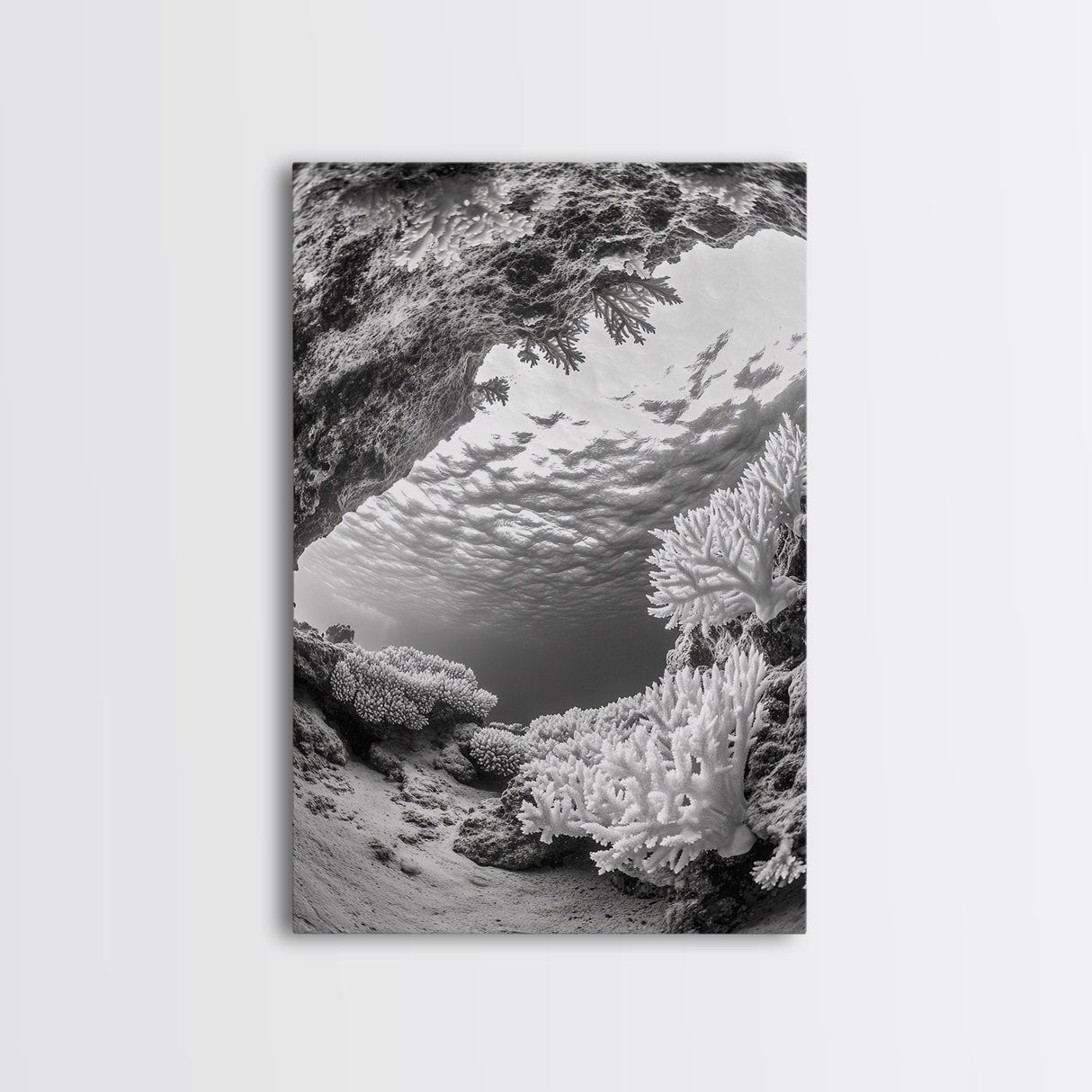 Coral Reef Underwater, Ocean Photography, Marine Nature Scene, Framed Canvas Print, Bathroom Wall Art, Coastal Minimalist Decor