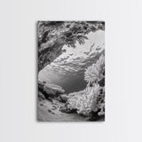 Coral Reef Underwater, Ocean Photography, Marine Nature Scene, Framed Canvas Print, Bathroom Wall Art, Coastal Minimalist Decor