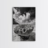 Coral Reef Texture, Ocean Wall Art, Coastal Minimalist, Nature Photography, Framed Canvas Print, Bathroom Wall Decor, Tropical Beach Print