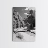 Desert Oasis, Palm Trees, Canyon Trail, Framed Canvas Print, Nature Photography Art, Warm Boho Wall Decor, Rustic Entryway Accent