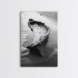 Driftwood Shore, Tidal Beauty, Washed Wood, Canvas Print, Coastal Beach Wall Art, Minimalist Bathroom Decor, Black and White Ocean Scene