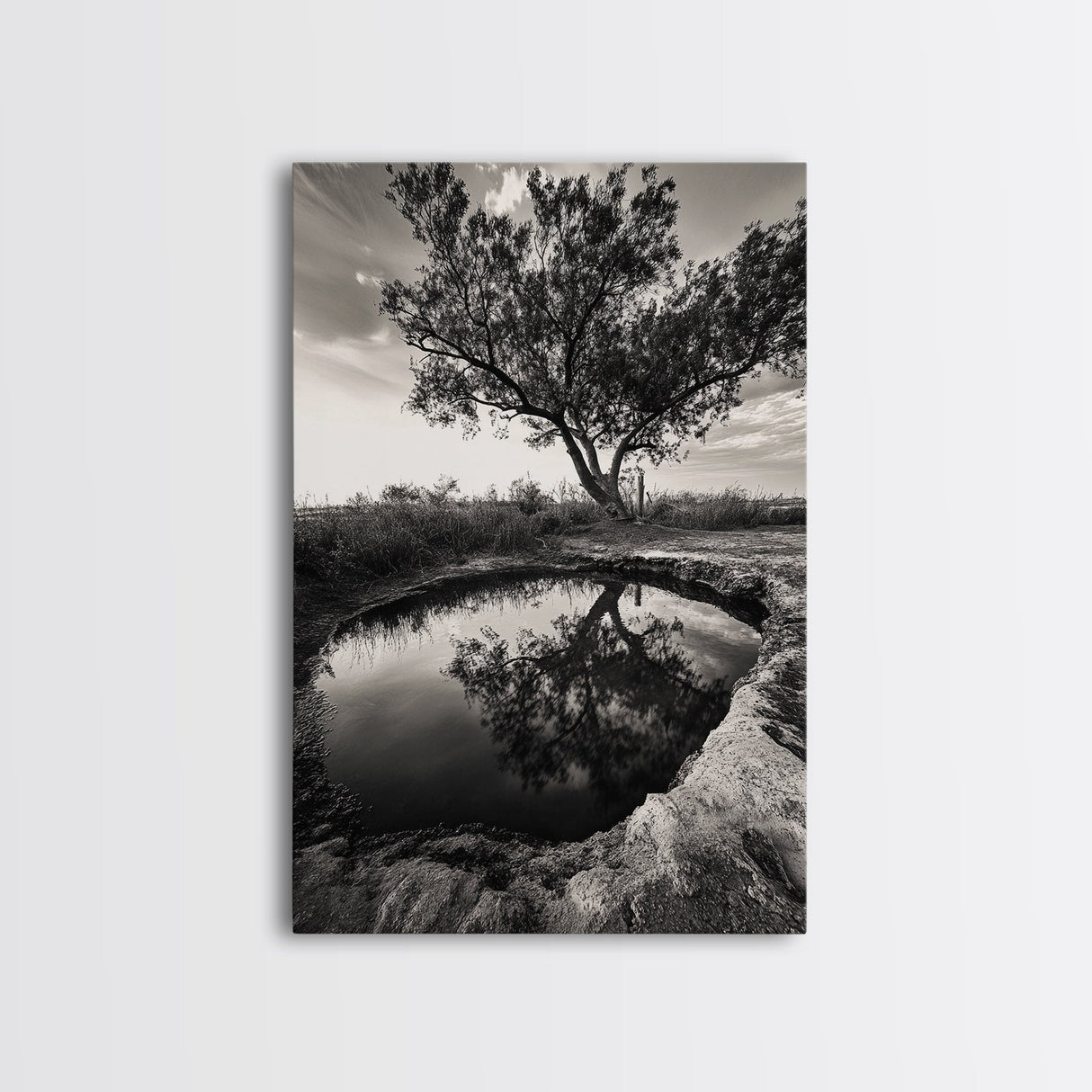 Tree Reflection, Still Water, Peaceful Nature, Framed Canvas Print, Tranquil Wall Art, Rustic Bedroom Decor, Black and White Photography