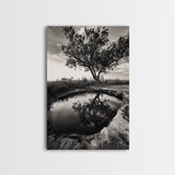 Tree Reflection, Still Water, Peaceful Nature, Framed Canvas Print, Tranquil Wall Art, Rustic Bedroom Decor, Black and White Photography