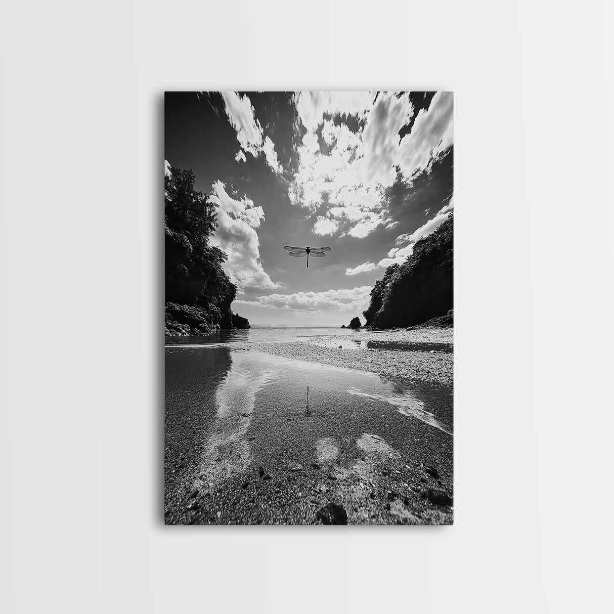 Dragonfly Flight, Beach View, Nature Dream, Framed Canvas Print, Whimsical Wall Art, Surreal Living Room Decor, Black and White Nature Style