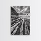 Driftwood Beach, Coastal Logs, Wild Shore, Canvas Print, Rustic Ocean Wall Art, Cabin Bathroom Decor, Nature Inspired Photography