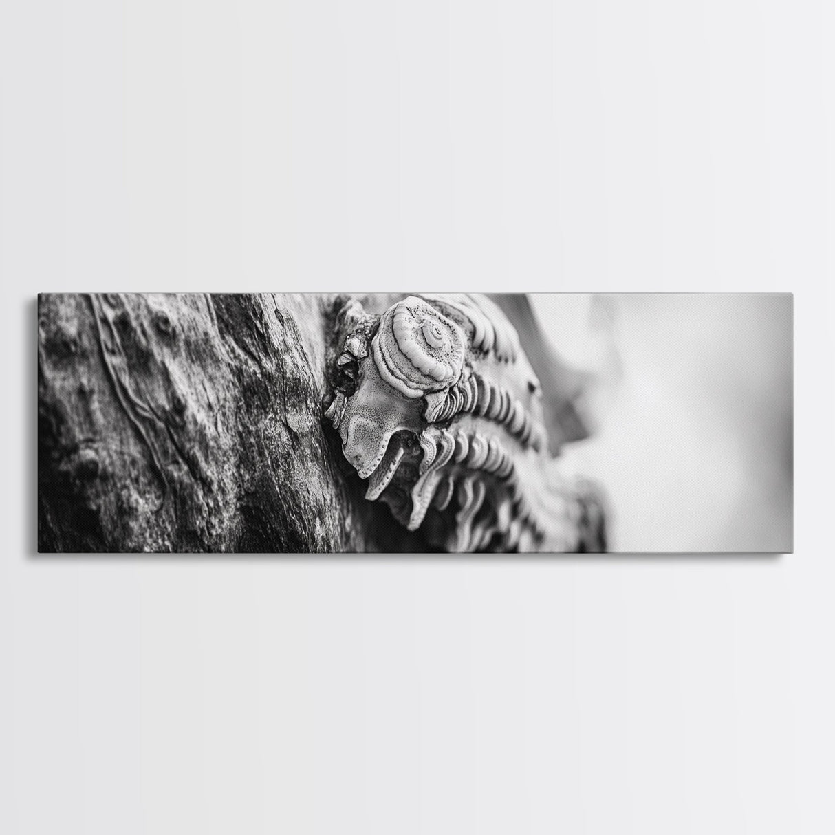Tree Fungus, Natural Texture, Close-Up Growth, Wood Grain, Framed Canvas Print, Nature Wall Art, Boho Bedroom Decor, Botanical Print