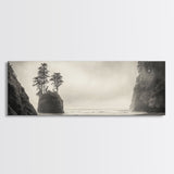Foggy Beach, Coastal Pines, Ocean Cliffside, Nature Escape, Framed Canvas Print, Moody Wall Art, Living Room Decor, Pacific Northwest Style