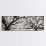 Sprawling Trees, Oak Forest, Sunlit Canopy, Majestic Branches, Canvas Print, Nature Wall Art, Boho Decor, Living Room Statement Piece