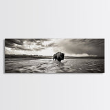 Bison River, Prairie Storm, American West, Framed Canvas Print, Rustic Nature Art, Fall Living Room Decor, Wildlife Photography