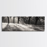 Sunrays Meadow, Tree Light, Golden Hour, Framed Canvas Print, Fall Living Room Art, Rustic Nature Decor, Warm Toned Landscape