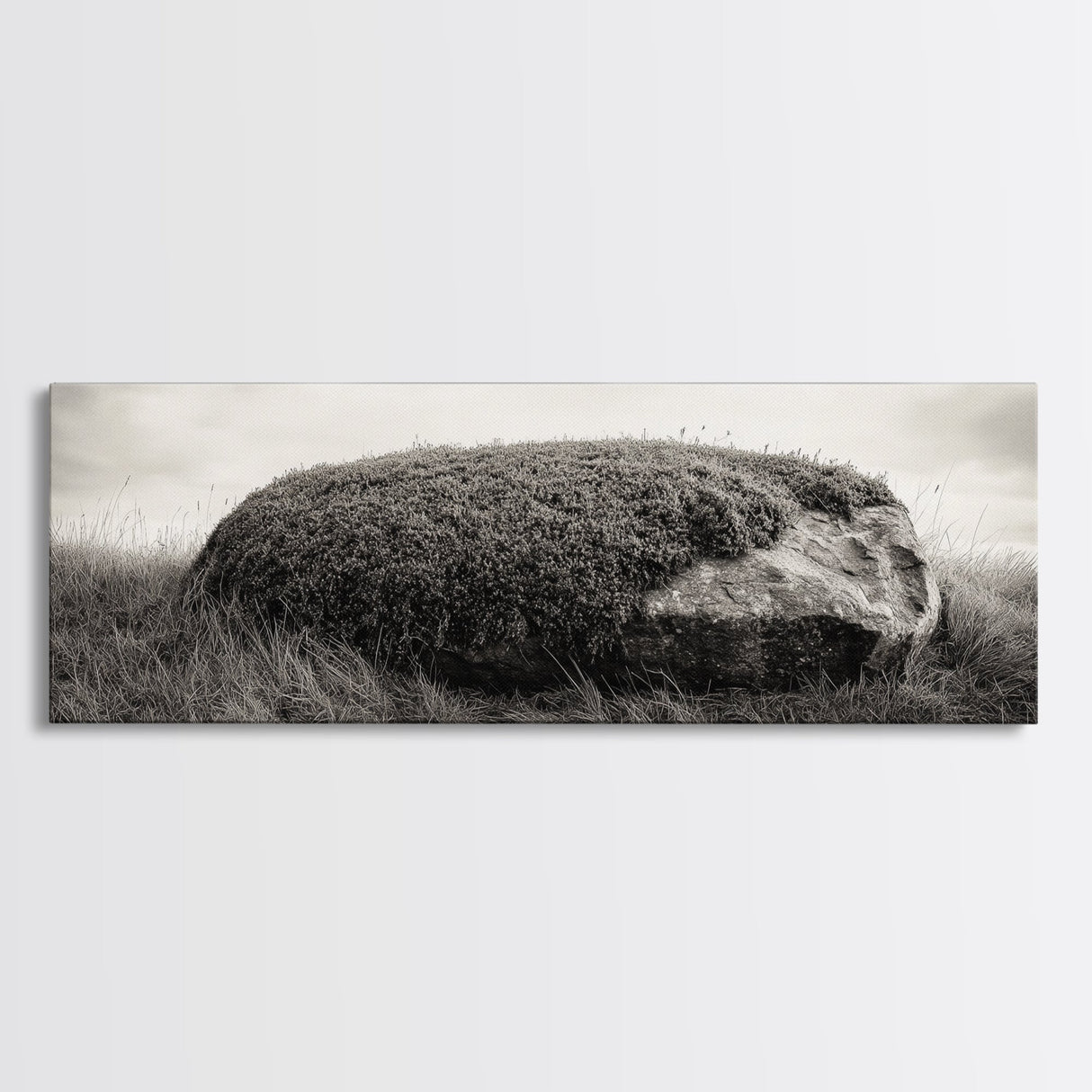 Heather Rock, Grassy Field, Natural Simplicity, Earthy Tones, Canvas Print, Rustic Home Decor, Minimalist Nature Wall Art, Fall Inspired Art