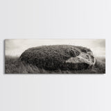 Heather Rock, Grassy Field, Natural Simplicity, Earthy Tones, Canvas Print, Rustic Home Decor, Minimalist Nature Wall Art, Fall Inspired Art