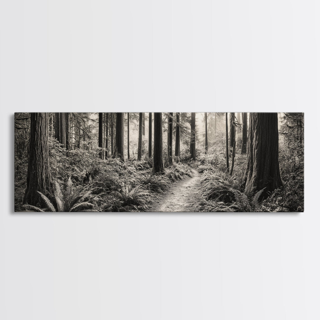 Redwood Forest, Nature Path, Fern Understory, Framed Canvas Print, Moody Nature Photography, Office Wall Art, Forest Bathing Vibes