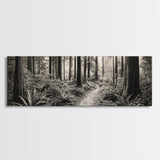 Redwood Forest, Nature Path, Fern Understory, Framed Canvas Print, Moody Nature Photography, Office Wall Art, Forest Bathing Vibes