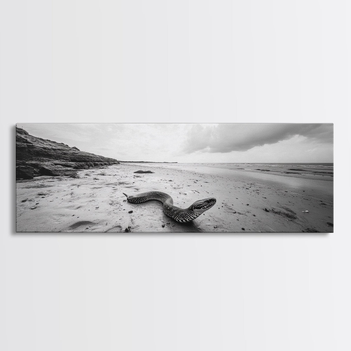Snake On Beach, Coastal Wildlife, Dramatic Black and White, Framed Canvas Print, Nature Wall Art, Minimalist Decor, Office Statement Art
