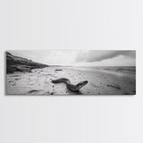Snake On Beach, Coastal Wildlife, Dramatic Black and White, Framed Canvas Print, Nature Wall Art, Minimalist Decor, Office Statement Art