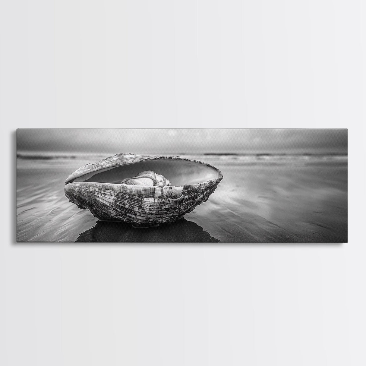 Seashell Closeup, Beach Photography, Ocean Minimalism, Canvas Print, Bathroom Wall Art, Coastal Modern Decor, Nautical Neutral Art