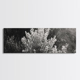 Frosted Bush, Winter Plant, Nature Closeup, Framed Canvas Print, Botanical Wall Art, Neutral Bedroom Decor, Rustic Autumn Style