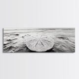 Sand Dollar, Ocean Shore, Calm Waters, Canvas Print, Coastal Wall Art, Minimalist Bathroom Decor, Seashell Beach Photography