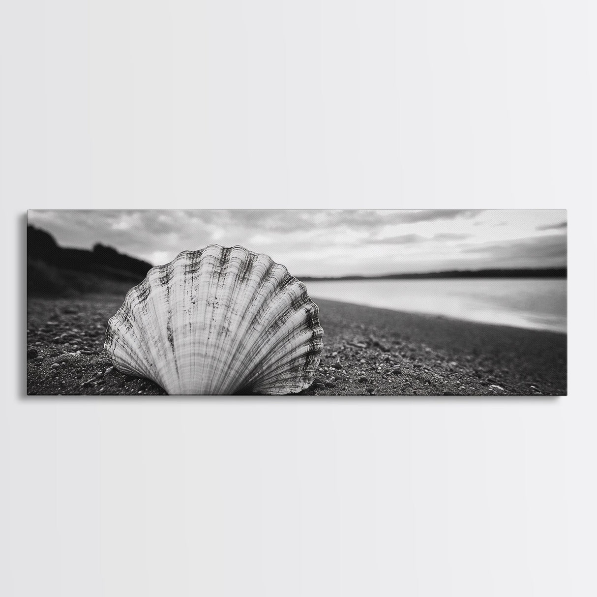 Shell on Shore, Monochrome Coastal, Canvas Print, Boho Wall Art, Bathroom Wall Decor, Natural Beach Aesthetic, Ocean Inspired Art