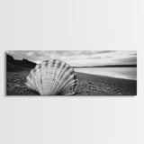 Shell on Shore, Monochrome Coastal, Canvas Print, Boho Wall Art, Bathroom Wall Decor, Natural Beach Aesthetic, Ocean Inspired Art