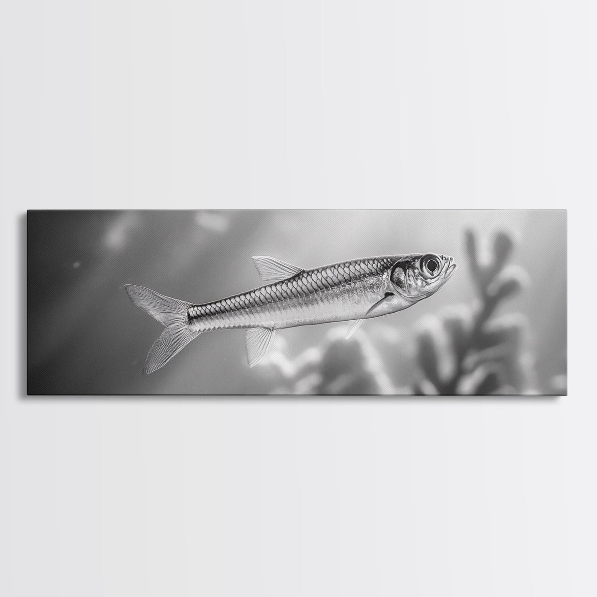 Silver Fish Closeup, Underwater Life, Marine Wildlife Art, Black and White Framed Canvas Print, Coastal Bathroom or Den Wall Art