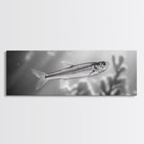Silver Fish Closeup, Underwater Life, Marine Wildlife Art, Black and White Framed Canvas Print, Coastal Bathroom or Den Wall Art