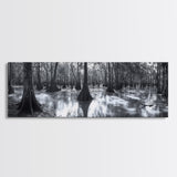 Swamp Roots, Cypress Trees, Flooded Forest, Framed Canvas Print, southern nature art, rustic lodge wall decor, moody woodland photography