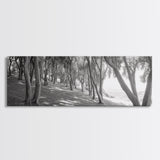 Forest Path, Tree Tunnel, Light Shadows, Woodland Magic, Framed Canvas Print, Nature Lover Gift, Entryway Wall Art, Modern Rustic Style