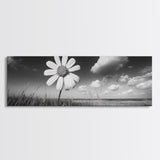 Daisy Flower, Single Bloom, Coastal Breeze, Minimal Wall Decor, Framed Canvas Print, Boho Bedroom Art, Nature Inspired Photography