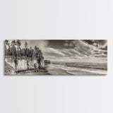 Cliffside Forest, Pacific Coastline, Dramatic Ocean View, Framed Canvas Print, Natural Landscape, Cabin Wall Art, Rustic Coastal Decor