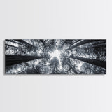 Redwood Trees, Forest Canopy, Looking Upward, Canvas Print, Black and White Nature Art, Meditation Room Decor, Minimalist Wall Art