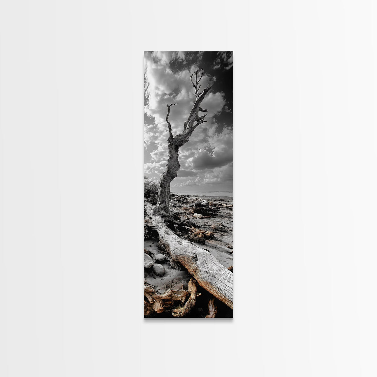 Weathered Tree, Coastal Roots, Dramatic Sky, Natural Form – Canvas Print, Living Room Wall Art, Monochrome Photography, Driftwood Decor