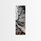 Weathered Tree, Coastal Roots, Dramatic Sky, Natural Form – Canvas Print, Living Room Wall Art, Monochrome Photography, Driftwood Decor