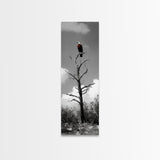 Lone Eagle, Tree Perch, Wild Raptor, Fierce Freedom, Canvas Print, Rustic Wildlife Wall Art, Cabin Lodge Decor, Dramatic Nature Scene