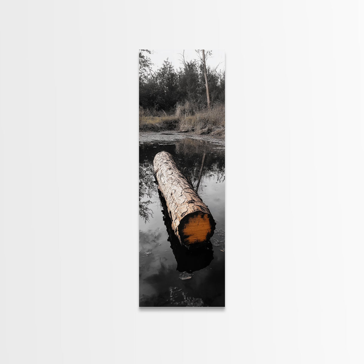 Floating Log, Woodland Print, Nature Photography, Rustic Home Decor, Canvas Print, Cabin Wall Art, Minimalist Lake House Style
