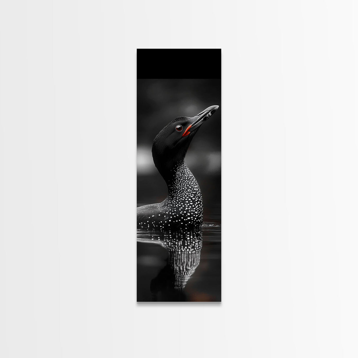 Loon Bird, Red Eye, Monochrome Wildlife, Nature Framed Canvas Print, modern living room wall art, black and white animal art