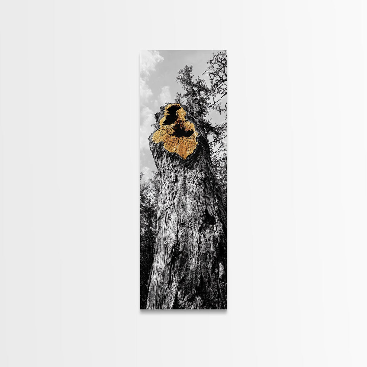 Tree Hollow, Forest Texture, Nature Decay, Golden Bark, Framed Canvas Print, Rustic Wall Art, Cabin Living Room Art, Woodland Decor
