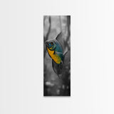 Bluegill Fish, Underwater Life, Bold Colors, Freshwater Beauty, Framed Canvas Print, Nature Art, Bathroom Wall Art, Aquatic Decor