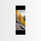 Golden Aspens, Fall Forest, Mountain Trees, Framed Canvas Print, Autumn Wall Art, Nature Cabin Decor, Fall Foliage, Rustic Living Room