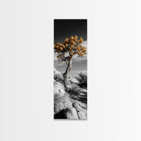 Twisted Tree, Desert Bloom, Rustic Wilderness, Nature Drama, Framed Canvas Print, Boho Living Room Wall Art, Moody Outdoor Style