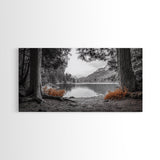 Forest Lake, Autumn Leaves, Nature Path, Woodland Style, Framed Canvas Print, Rustic Wall Art, Entryway Art, Cabin Wall Decor