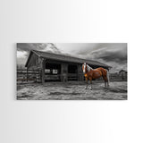 Rustic Horse, Country Barn, Moody Sky, Farm Vibes, Framed Canvas Print, Western Decor, Farmhouse Wall Art, Living Room Accent, Fall Art