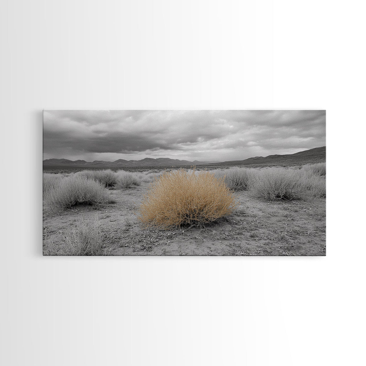 Desert Scene, Tumbleweed Beauty, Arid Landscape, Western Mood, Framed Canvas Print, Neutral Art, Entryway Wall Art, Rustic Home Style
