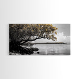 Mangrove Tree, Coastal Roots, Golden Leaves, Ocean View, Framed Canvas Print, Beach House Art, Nature Wall Decor, Minimal Coastal Vibe