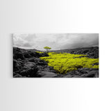 Lone Tree Lava, Surreal Earth Tones Decor, Abstract Volcanic Art, Black and Yellow Landscape, Canvas Print, Boho Living Room Accent